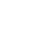 carpet-service